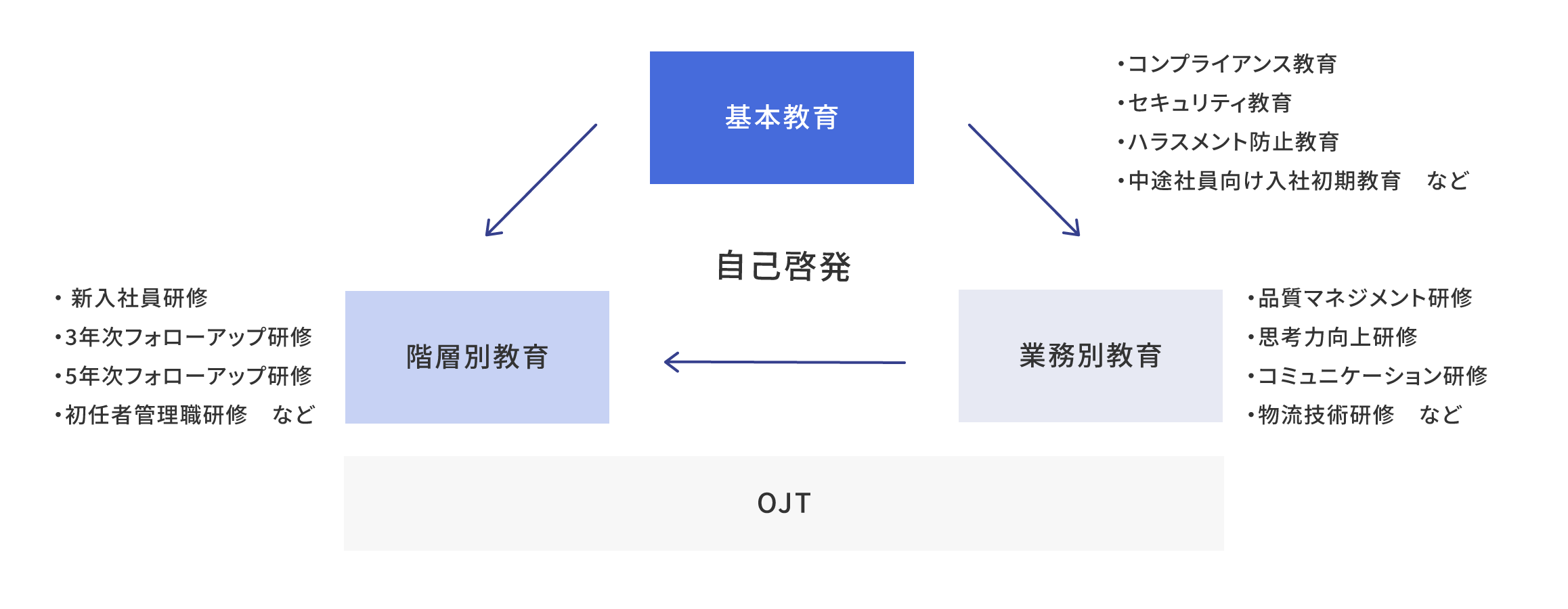 教育制度の概念図